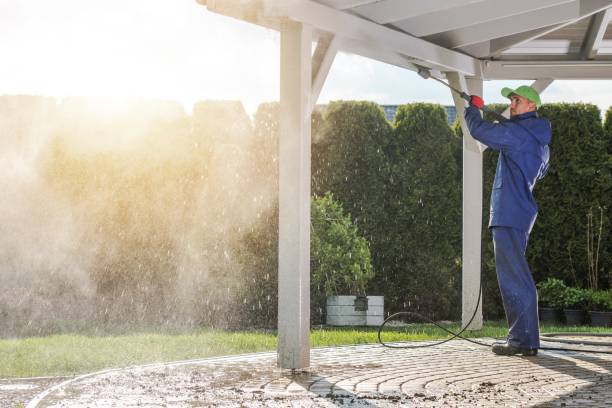 Animal Enclosure Cleaning in Lockland, OH