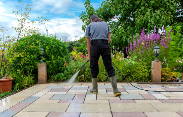 Best Driveway Pressure Washing  in Lockland, OH