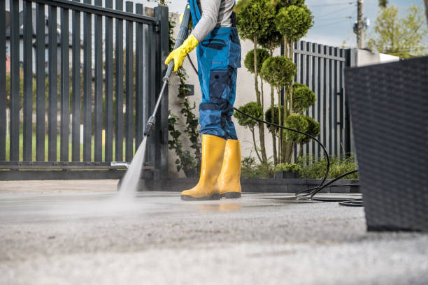 Best Roof Washing  in Lockland, OH